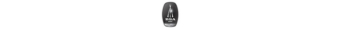 BSA