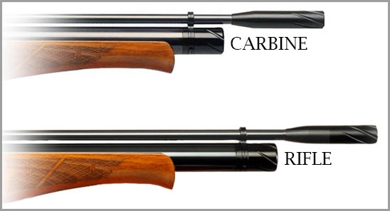 Carbine vs Rifle